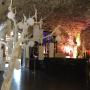 Gallery Professionale