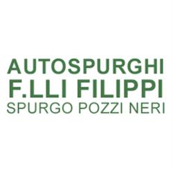 Autospurghi F.lli Filippi - Pozzi Neri
