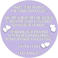 Allevamento Pensione Addestramento Stelle di Sirio