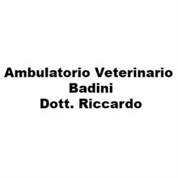 Ambulatorio Veterinario Badini Dr. Riccardo