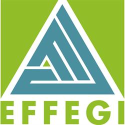 Effegi Servizi Integrati