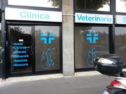 Clinica Veterinaria Santo Stefano