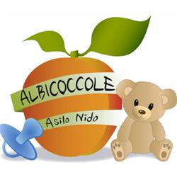 Nido D'Infanzia Albicoccole