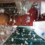 Gallery Professionale