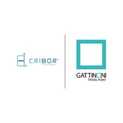 Cribor Travel Agency
