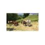 Carne Bovina;