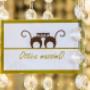 Gallery Professionale