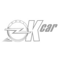 Officina Ok Car - Autorizzata Opel