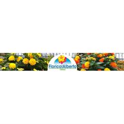 Floricolalberto Ss Agricola