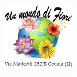 Un Mondo di Fiori