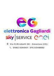 ELETTRONICA GAGLIARDI S.R.L.