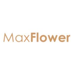 Fiorista Max Flower