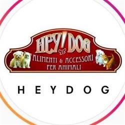 Hey Dog