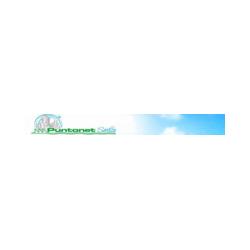 Puntonet Service