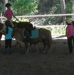 Centro Equestre  L' Airone