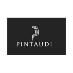 Vini Pintaudi
