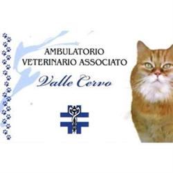 Ambulatorio Veterinario Associato Valle Cervo