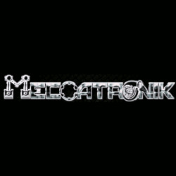 Meccatronik