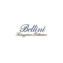 Tinteggiature e Sabbiature Bellini