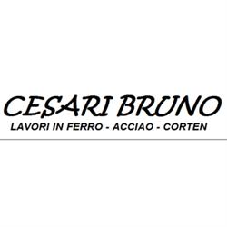 Cesari Bruno Lavorazioni in Ferro e Metalli