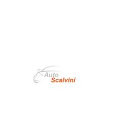 Auto scalvini