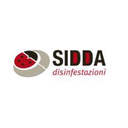Sidda Disimpest
