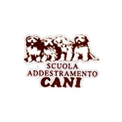 Rauzi Luca - Scuola Addestramento Cani