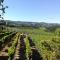 Vigneto