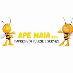Impresa di Pulizie Ape Maia