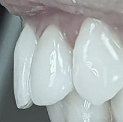 Studio Dentistico Ventrella