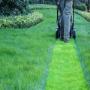 Manutenzione Giardino