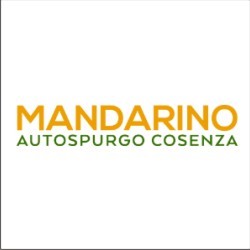 Autospurgo Mandarino Cosenza