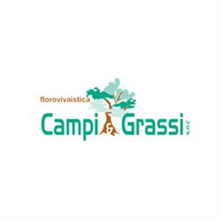Florovivaistica