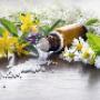 Fenice Centro Medico Specializzato in Antiaging