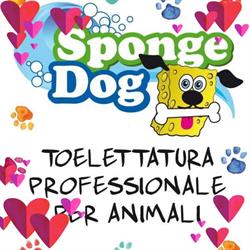 Sponge Dog Toelettatura