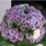 Rose Cattaneo