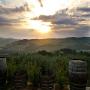Chianti