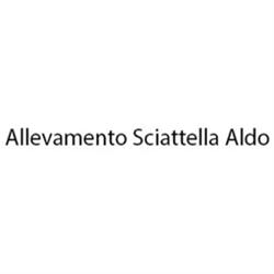 Allevamento Sciattella Aldo