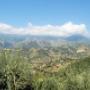 Immobiliare Mollo