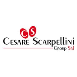 Scarpellini Cesare Group