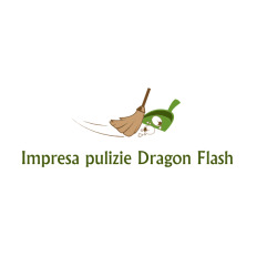 Impresa di Pulizie Dragon Flash