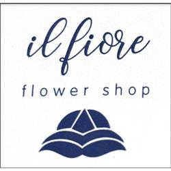 Il Fiore - Piante e Fiori