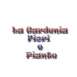 Fiori e Piante La Gardenia