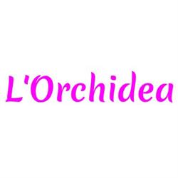 L’Orchidea