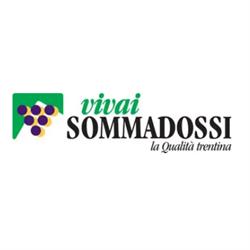 Vivai Sommadossi