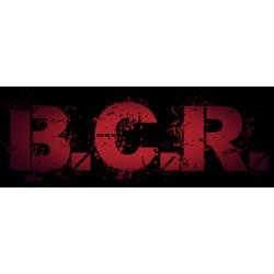 B.C.R. Butti Commercio Rottami
