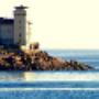 Gestioni Immobiliari