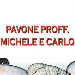 Pavone Prof. Carlo