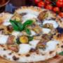 Gallery Professionale