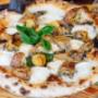 Gallery Professionale